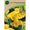 Paciorecznik YELLOW KING HUMBERT 1 szt. GEOLIA