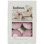 Podgrzewacz zapachowy AROMATIC magnolia 6 szt. BOLSIUS