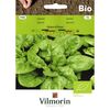 Szpinak GEANT D'HIVER BIO VILMORIN