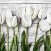 Panel kuchenny szklany TULIP ALFA-CER