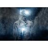 Obraz ARTLIGHT 100 x 70 cm