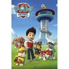 Plakat PAW PATROL-TEAM 61 x 91.5 cm