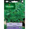Bazylia PICCOLINO VILMORIN