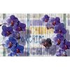 Fototapeta FIOLETOWA ORCHIDEA 104 x 152 cm