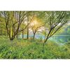 Fototapeta SPRING LAKE 254 x 368 cm