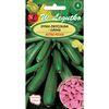 Dynia zwyczajna (Cukinia) ASTRA POLKA nasiona zaprawiane 3 g W. LEGUTKO