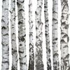 Panel kuchenny szklany SCANDI 60 x 60 cm ALFA-CER