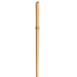 Tyczka bambusowa 90cm x 8/10 mm Nortene