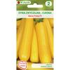 Dynia zwyczajna (Cukinia) ATENA POLKA F1 nasiona tradycyjne 2 g W. LEGUTKO