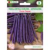 Nasiona warzyw PURPLE TEEPEE Fasola zwykła karłowa W. LEGUTKO