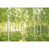 Fototapeta SUNDAY 368 x 254 cm KOMAR