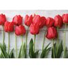 Deska kuchenna TULIPS RED ALFA-CER