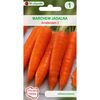 Marchew AMSTERDAM 2 nasiona tradycyjne 5 g W. LEGUTKO
