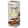 Dyfuzor zapachowy AROMATIC cynamon 45 ml BOLSIUS