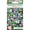 Niezapominajka alpejska MIESZANKA nasiona tradycyjne 0.5 g W. LEGUTKO