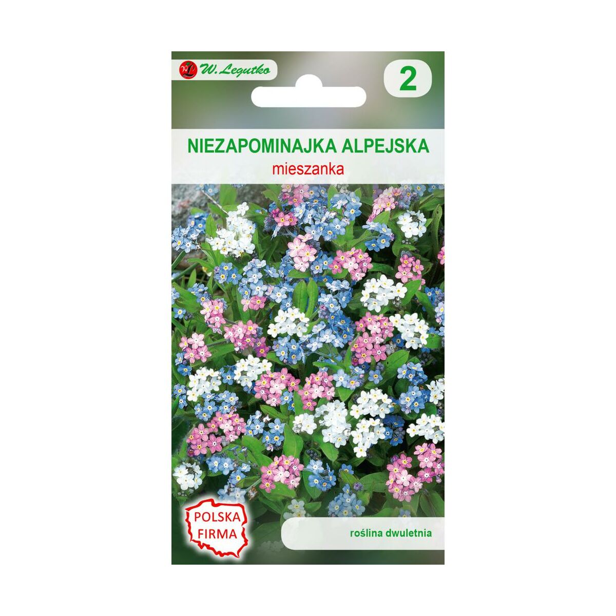 Niezapominajka alpejska nasiona tradycyjne W.Legutko