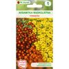 Aksamitka wąskolistna MIESZANKA nasiona tradycyjne 0.5 g W. LEGUTKO