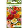Cynia wytworna skabiozowa MIESZANKA nasiona tradycyjne 0.5 g W. LEGUTKO