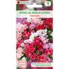 Godecja (Azalia letnia) MIESZANKA nasiona tradycyjne 1 g W. LEGUTKO