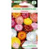 Kocanki (Nieśmiertelnik) MIESZANKA nasiona tradycyjne 0.8 g W. LEGUTKO