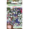 Lobelia przylądkowa (Stroiczka) MIESZANKA W. LEGUTKO