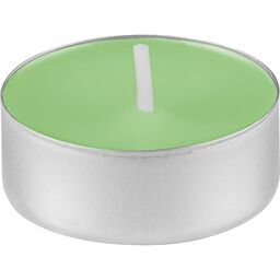 Podgrzewacz zapachowy True Scents zielona herbata 6 szt.