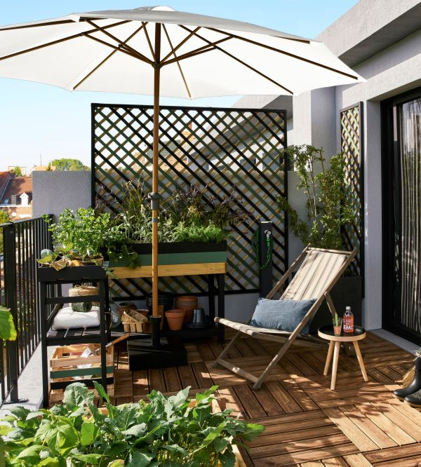 Rośliny na balkon
