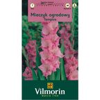 Mieczyk TAMPICO 7szt. VILMORIN