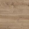 Panel dekoracyjny kuchenny LAMINOWANY 120X420 CM DĄB BURSZTYNOWY 009S BIURO STYL