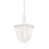 Lampa ogrodowa wisząca ROBIN PHILIPS