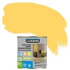 Emalia akrylowa jednowarstwowa DO WNĘTRZ I NA ZEWNĄTRZ 0,5 l LUXENS