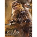 Kanwa STAR WARS VII/10 80 cm x 60 cm