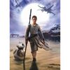 Fototapeta STAR WARS 254 x 184 cm
