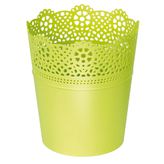 Lace limonka