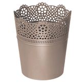 Lace mocca