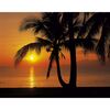 Fototapeta PALMY BEACH SUNRISE 254 x 368 cm