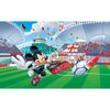 Fototapeta MIKI PIŁKARZ 184 x 254 cm DISNEY