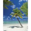 Fotografia ścienna ARI ATOLL 254 x 184 cm KOMAR