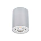 Oprawa stropowa natynkowa BORD DLP-50-AL srebrna GU10 KANLUX