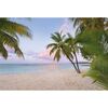 Fotografia ścienna PARADISE MORNING 248.0 x 368 cm KOMAR