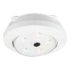 Lampka LED TANA 4,5 V INSPIRE