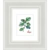 Obraz OREGANO 47.6 x 41.6 cm