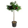 Kuflik (forma pienna) 80 - 90 cm