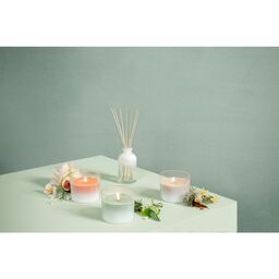 Świeca zapachowa w szkle True Joy Oriental Softness Bolsius
