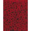 Fototapeta ROSES 270 x 194 cm