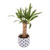 Juka 35 cm