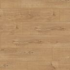 Panele podłogowe DĄB SHERWOOD AC5 8 mm Laminowane EXPERT CHOICE