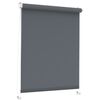 Roleta okienna Dream Click grafitowa 106 x 215 cm