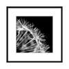 Obraz ARTBOX FOTO JETTY 41 x 41 cm