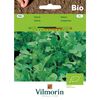 Rukola (Rokietta siewna) BIO VILMORIN